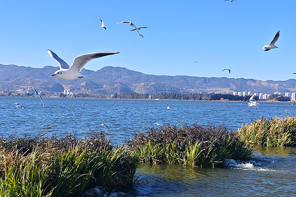 消音降噪材料廠家利用臉書(shū)社交媒體營(yíng)銷(xiāo)開(kāi)展海外市場(chǎng)